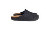 Shoe product picture